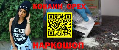 мдпв Кингисепп