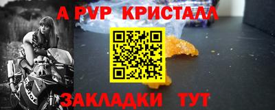 мдпв Кингисепп