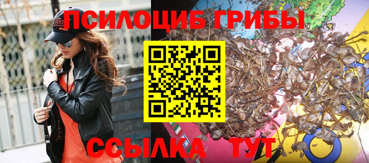 Псилоцибиновые грибы GOLDEN TEACHER  Вход с VPN  Муром 
